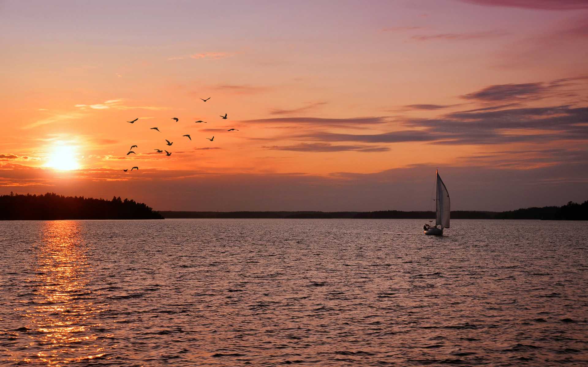 Didim geziyor